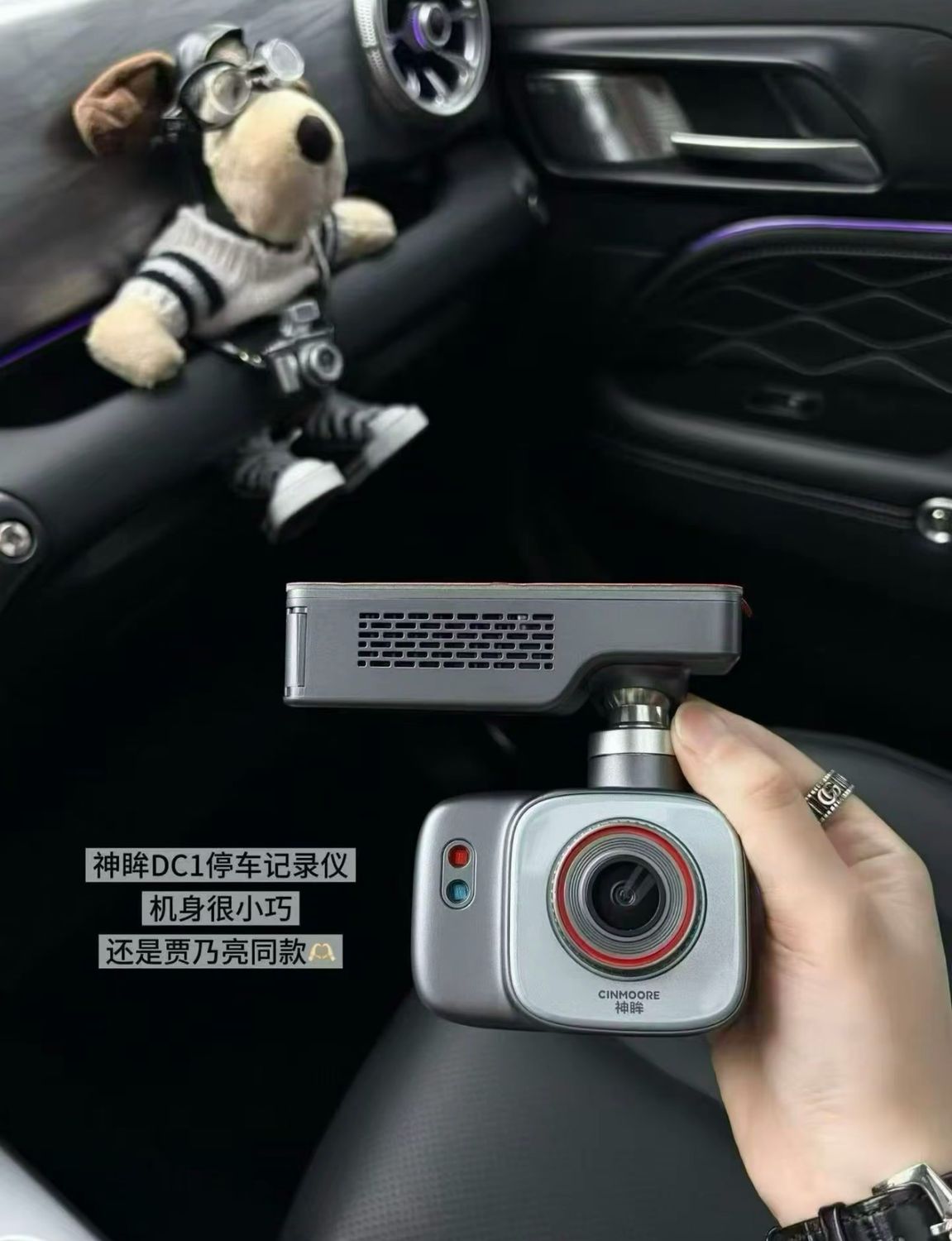 Lite Smart Car Monitor