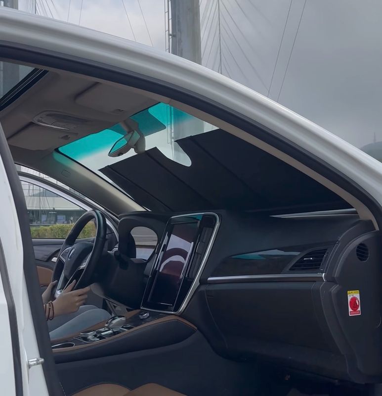 Elektrischer Vorhang für das Auto